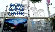 Changes Ahead For The Iconic Dinosaur Exhibit In Seattle
