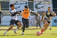 Dura misión del técnico de Venados