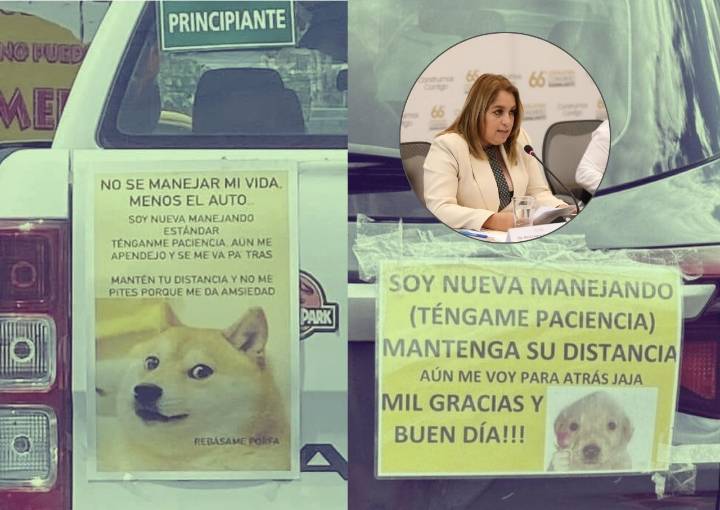 Propone diputada distintivo para conductores principiantes y adultos mayores