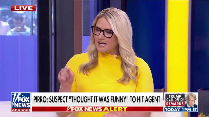 Marie Harf Shreds DoJ For Charging Sandwich Tosser With Felony After J6 Pardons