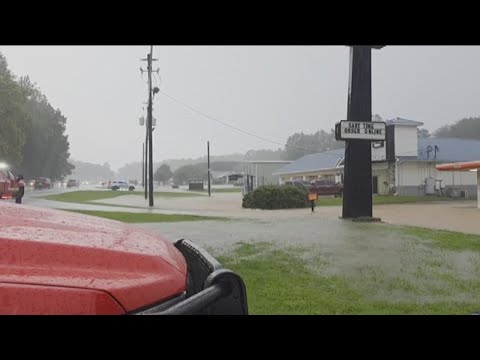 Tree falls on Little Caesars in White County