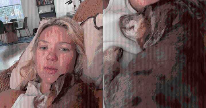 Dachshund Refuses To Leave Owner’s Side After She Returns From Vacation