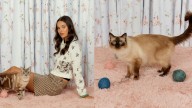 Meet The House Of Sunny Cat Jumpers Here To Liven Up Autumn