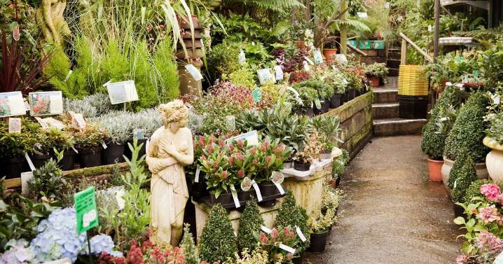 Help us crown Leicestershire's top garden centre: Nominate your favourite now