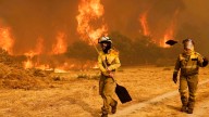 Bomberos en Galicia: "Refrescamos la zona porque a veces las raíces siguen ardiendo bajo tierra"