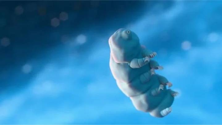 Nunca lo has visto pero éste es el animal más fuerte del mundo y puede sobrevivir en el espacio