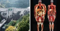 48 Random Things People Found That Are Too Interesting Not To Share