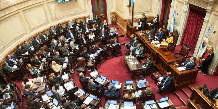 Senado: se sancionó la declaración de emergencia en pediatría por un año, con el hospital Garrahan de emblema