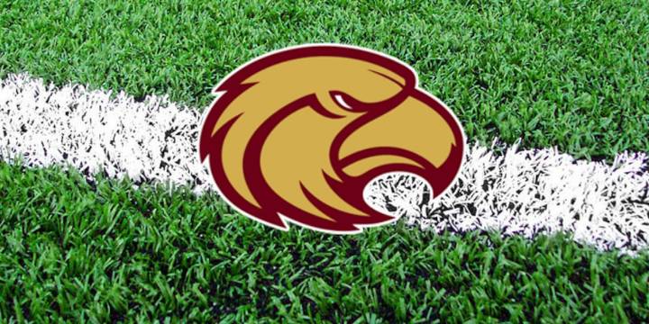 Hometown Heroes: Milano Eagles