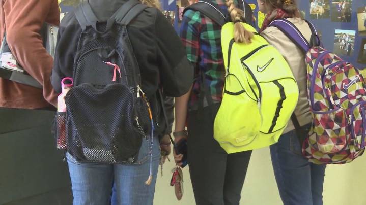 South Carolina faces loss of $1.6M PREP sex ed funding over gender lessons