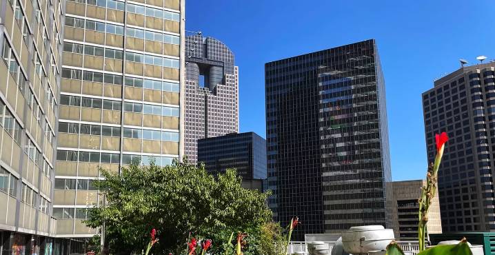 Dallas Chef Grows Robust Rooftop Garden in Downtown