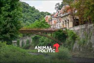 Corrupción y abandono: cómo una ciudad termal fantasma resurge en Rumania