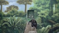 ‘We’re creating an illusion for ourselves’: Photographer explores how humans have lost touch with nature