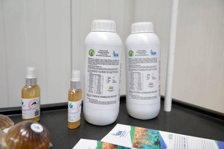 Inauguran en Yucatán planta para transformar el sargazo en bioproductos rentables