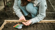 Are Seeding Squares Actually Worth Buying?