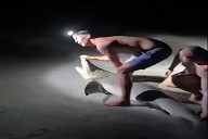 Tiburón muerde a un pescador que posaba para una foto (+Video)