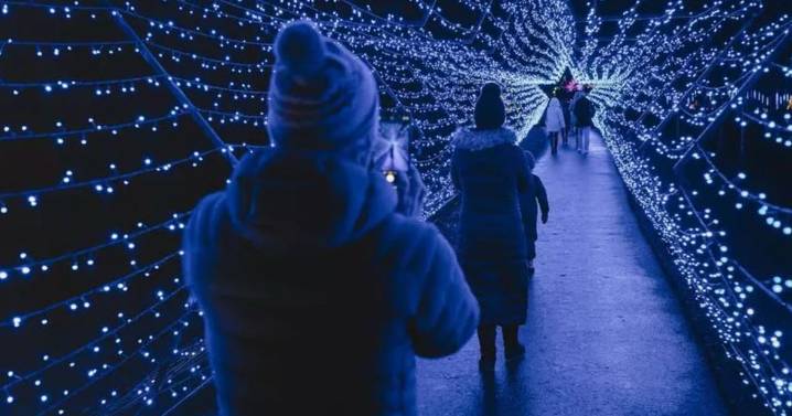 Iconic West Lothian Starry Nights event cancelled due to 'storm damage'