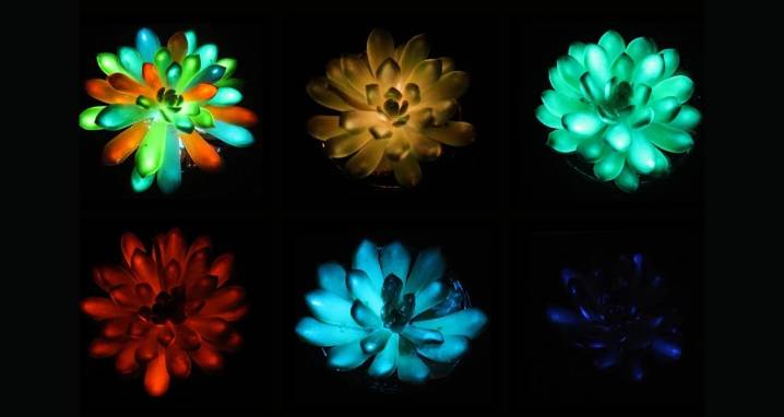 Scientists Develop Multicolored, Glow-In