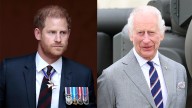 Harry & Charles May Be Reuniting Earlier After Report the King’s Health Is ‘Deteriorating More’ Each Day