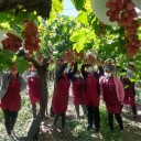 Familia exitosa. Vino de España con 13 años, se dedicó a las frutas y ahora su empresa exporta uvas a exclusivos mercados