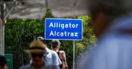 'Alligator Alcatraz' will likely be empty within days, email with top Florida official shows