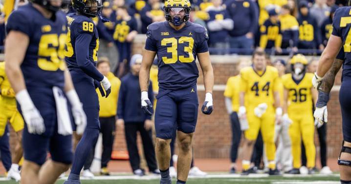 Oakdale grad Dom Nichols 'coming along' as defensive contributor at Michigan