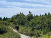 Some people risk $25,000 fine to reach Nova Scotia's nude beach
