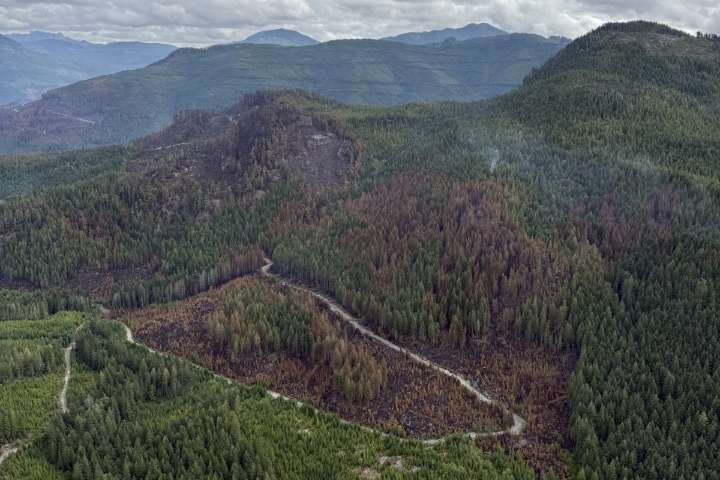 Vancouver Island wildfire evacuees to hear soon when they can go home