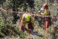 Arag-Asaja pide una nueva política forestal