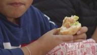 Más de la mitad de los niños chilenos tiene sobrepeso: solo un 14% de los padres reconoce la condición sobre sus hijos