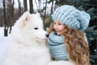 13 Dog Breeds That Stay Loyal For A Lifetime