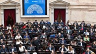 Diputados aprobó el rechazo al veto de Milei a la emergencia en Discapacidad