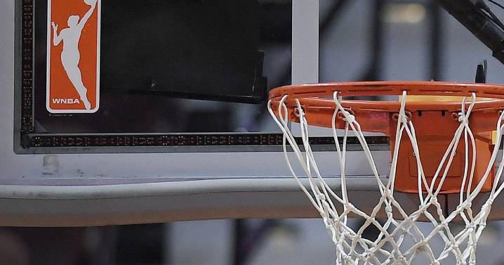 How does the WNBA solve its sex toy problem? What to know about arrests and security