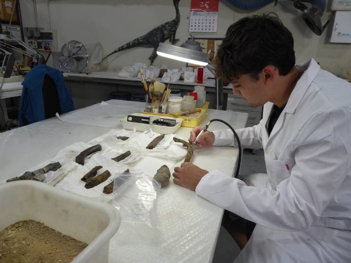 La labor formativa de la Fundación Dinópolis: “Si me sigue gustando la paleontología desde pequeño siendo de Teruel, por algo será”