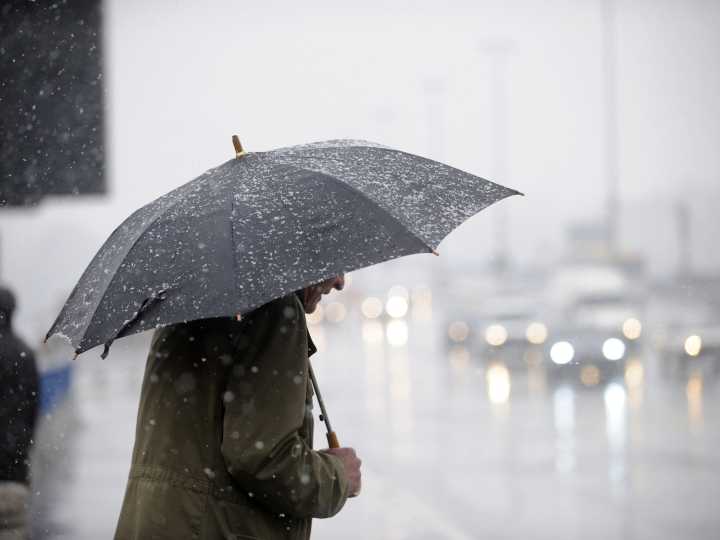 Clima hoy en Gualeguay, Entre Ríos: el pronóstico del tiempo para este domingo 31 agosto de 2025