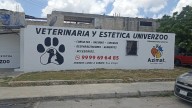 3 perros rescatados tras incendio en veterinaria de Mérida
