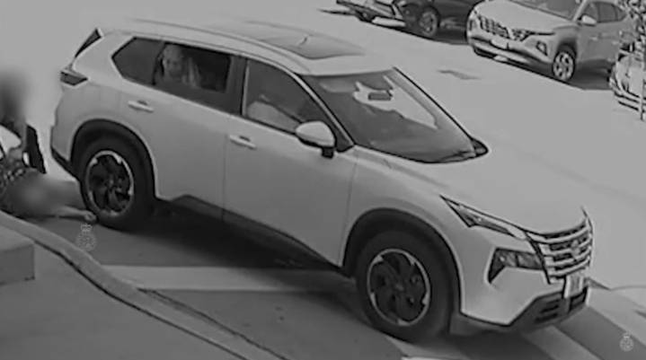 Foreign national charged in violent Richmond Hill robbery of elderly woman, 2 suspects at large