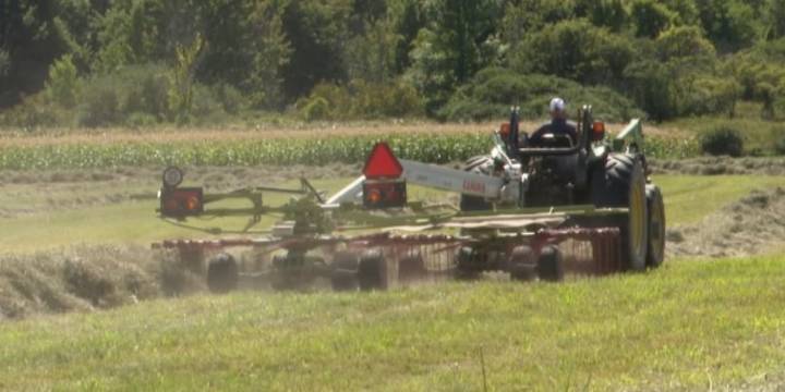 Study shows net income is up for NY farms