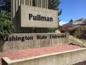WSU Students Will Receive A Cosmic Crisp As They Move In