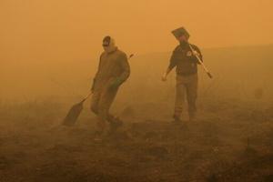 Record EU wildfires burnt more than 1 mn hectares in 2025: AFP analysis