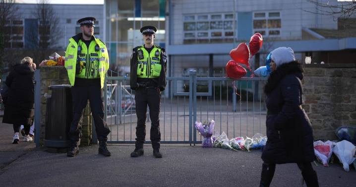 Schoolboy, 15, murdered pupil with hunting knife during lunch break