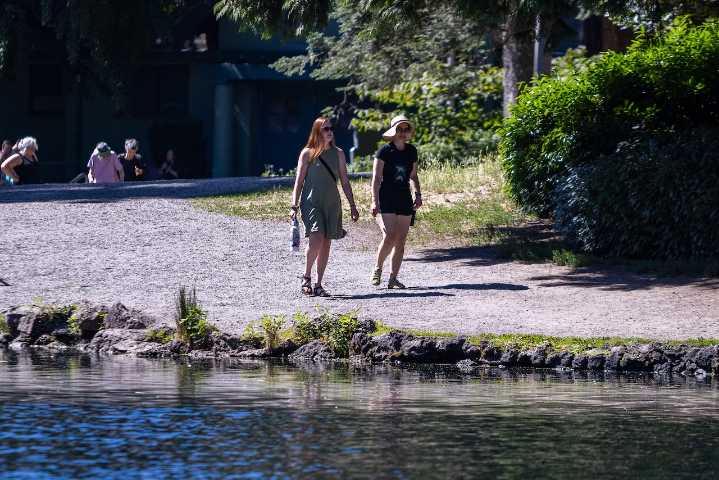 Thursday’s sunny weather brings Portland typical summer temps in the low 90s