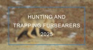 Furbearer biologist offers outlook on North Dakota 2025