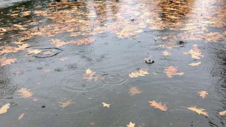 Atmospheric river will bring unusual August rainfall to the Willamette Valley