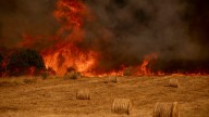 La superficie calcinada se estanca en Galicia