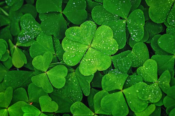 Clover Health: Short-Term Pain Hides Its Long-Term Profitability Potential (NASDAQ:CLOV)