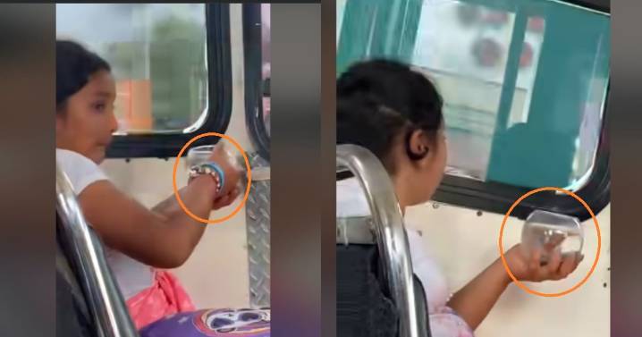Niña se vuelve viral por viajar en camión con una pecera en las manos