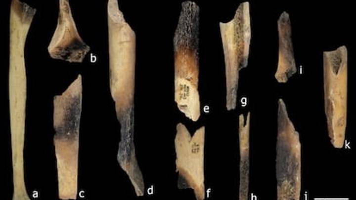 Hallan 11 niños y adultos descuartizados y canibalizados en Atapuerca