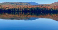 Judge's ruling sides with logging projects in White Mountains