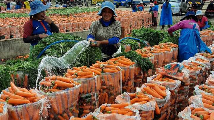 Comerciantes de Acomare preparados ante extorsiones
